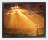Rejoice in His Light Gallery Wrap