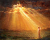 Rejoice in His Light Gallery Wrap