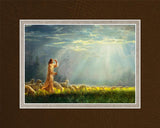 One Fold and One Shepherd