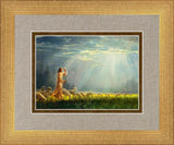 One Fold and One Shepherd