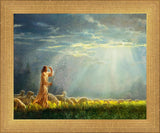 One Fold and One Shepherd