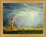 One Fold and One Shepherd