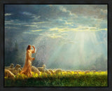 One Fold and One Shepherd