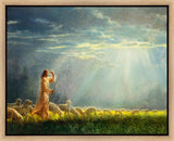 One Fold and One Shepherd