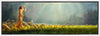 One Fold and One Shepherd Gallery Wrap
