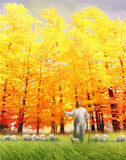 Autumn Breeze Gallery Wrap
