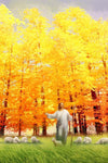 Autumn Breeze Gallery Wrap