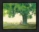 Morning Solace Gallery Wrap