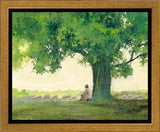 Morning Solace Gallery Wrap