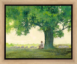 Morning Solace Gallery Wrap