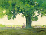 Morning Solace Gallery Wrap