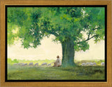 Morning Solace Gallery Wrap
