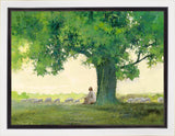 Morning Solace Gallery Wrap