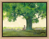 Morning Solace Gallery Wrap