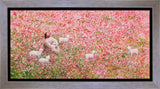 Shepherd's Rest Gallery Wrap