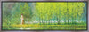 Moment of Peace Gallery Wrap