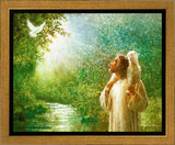The Grace of God Gallery Wrap