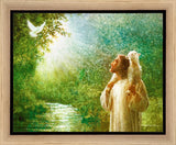 The Grace of God Gallery Wrap