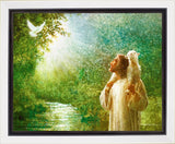 The Grace of God Gallery Wrap