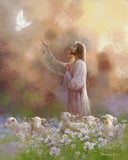 Prince of Peace Gallery Wrap