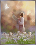 Prince of Peace Gallery Wrap