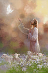 Prince of Peace Gallery Wrap