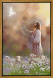 Prince of Peace Gallery Wrap