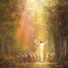 Heaven's Glow Gallery Wrap