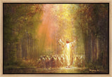 Heaven's Glow Gallery Wrap