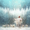 Radiance Gallery Wrap
