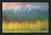 Mountain Majesty Gallery Wrap
