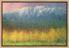 Mountain Majesty Gallery Wrap
