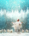 Radiance Gallery Wrap