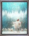 Radiance Gallery Wrap
