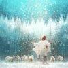 Radiance Gallery Wrap