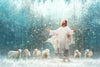 Radiance Gallery Wrap