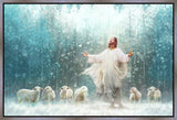 Radiance Gallery Wrap