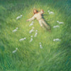 Lie Down Gallery Wrap