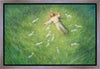 Lie Down Gallery Wrap