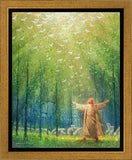 A New Light Shining Gallery Wrap