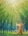 A New Light Shining Gallery Wrap