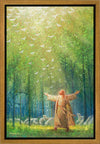 A New Light Shining Gallery Wrap