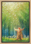 A New Light Shining Gallery Wrap