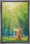 A New Light Shining Gallery Wrap