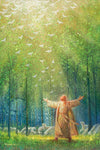 A New Light Shining Gallery Wrap