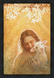 In God's Favor Gallery Wrap