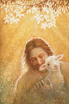 In God's Favor Gallery Wrap