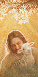 In God's Favor Gallery Wrap