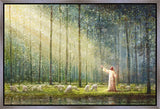 Rest Gallery Wrap