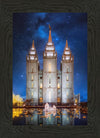 Salt Lake Starry Night Nativity